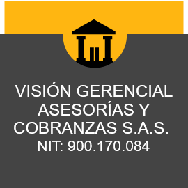 Vision Gerencial